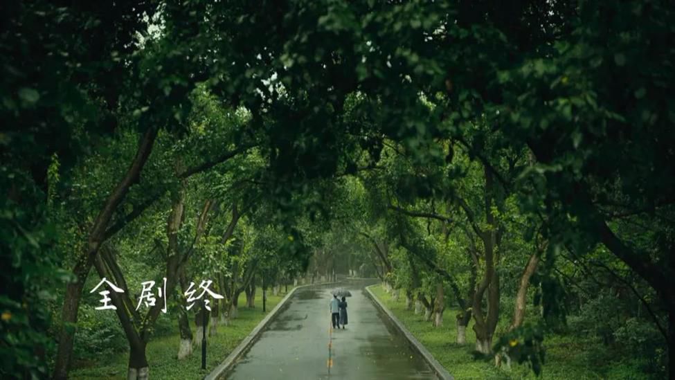 width=555 是“近些年来唯一不能倍速看的电视剧”