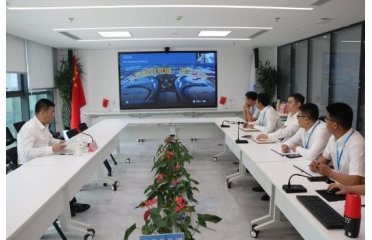 共计四十一万株