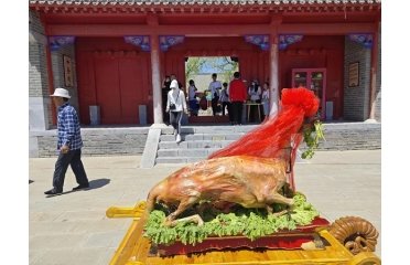 澳门大阳城集团