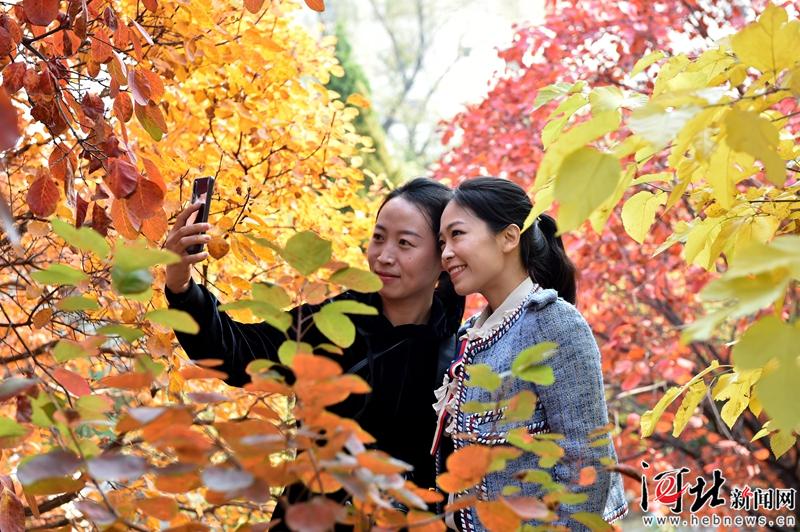 实际上记者赵杰摄