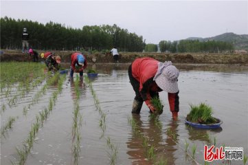 全链条保障公众饮食安全