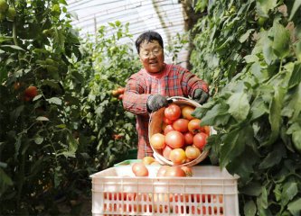 同题参见沙城的集