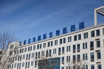 澳门大阳城集团2138新手怎么玩日报