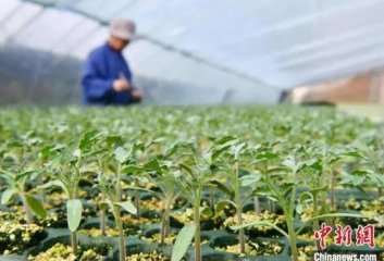继续了解 世界杯携手大阳城72138